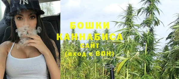 PSILOCYBIN Баксан