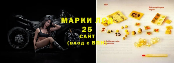ПСИЛОЦИБИНОВЫЕ ГРИБЫ Арсеньев