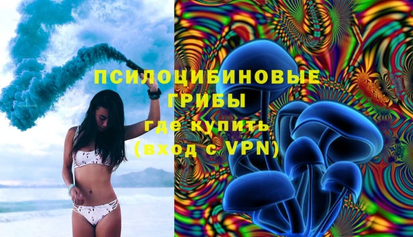 сатива Армянск