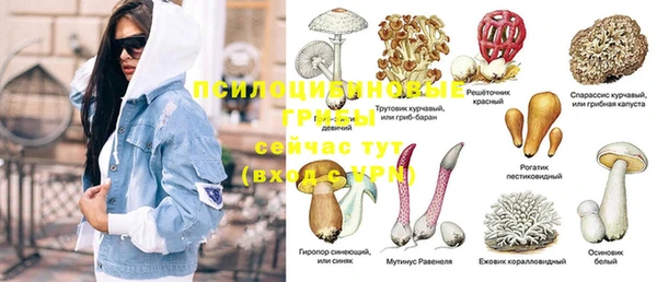 PSILOCYBIN Баксан