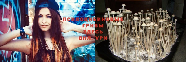 PSILOCYBIN Баксан