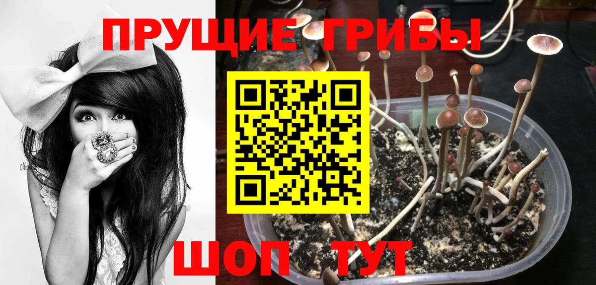 Псилоцибиновые грибы мухоморы Белая Калитва