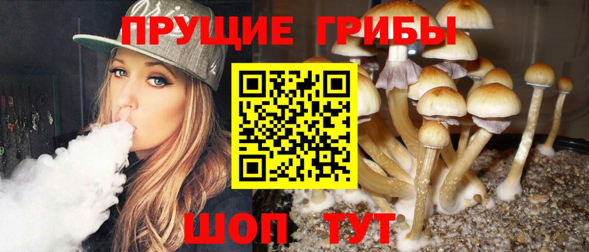 Белая Калитва  Галлюциногенные грибы Psilocybe  Вход с VPN 