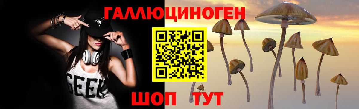 МЕФ   LSD-25  Кокаин  Кодеин  APVP СОЛЬ   Белая Калитва  Мефедрон кристаллы  Как найти наркотики?  Конопля  МДМА 