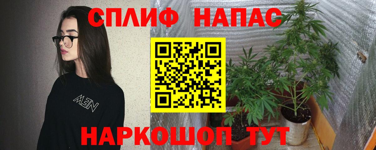 Конопля AK-47 Белая Калитва